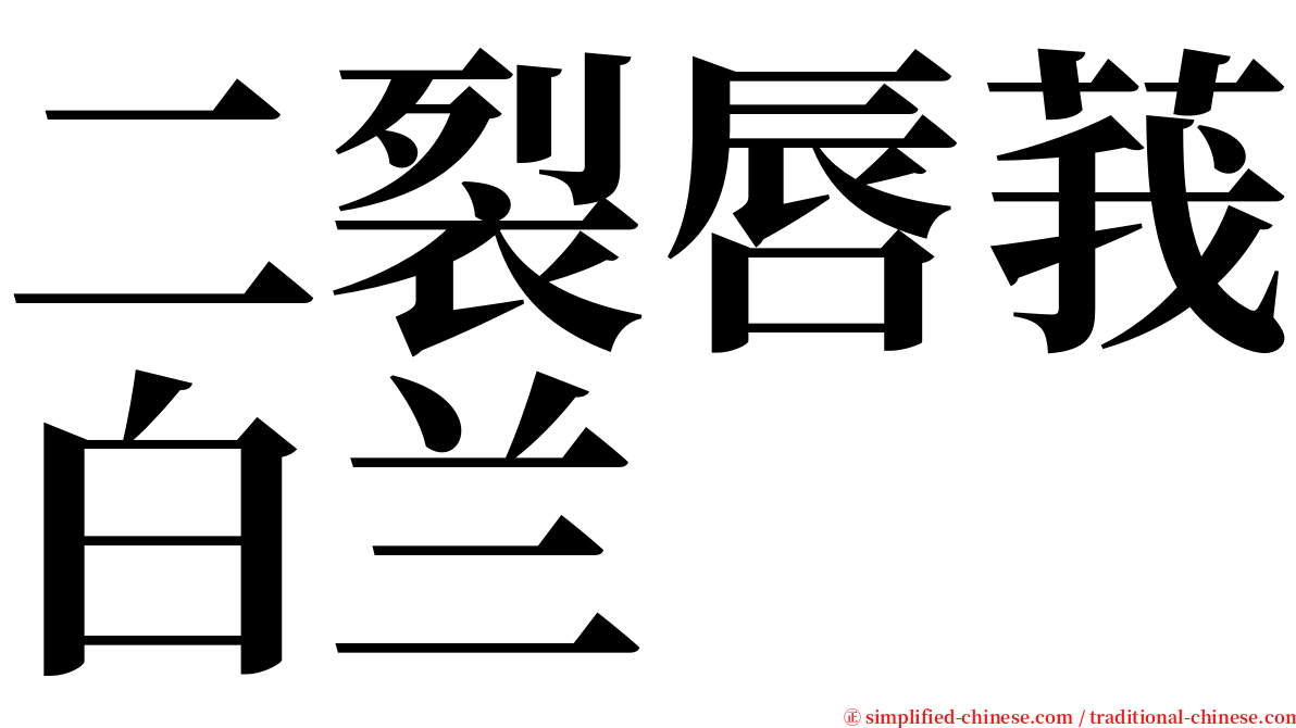 二裂唇莪白兰 serif font