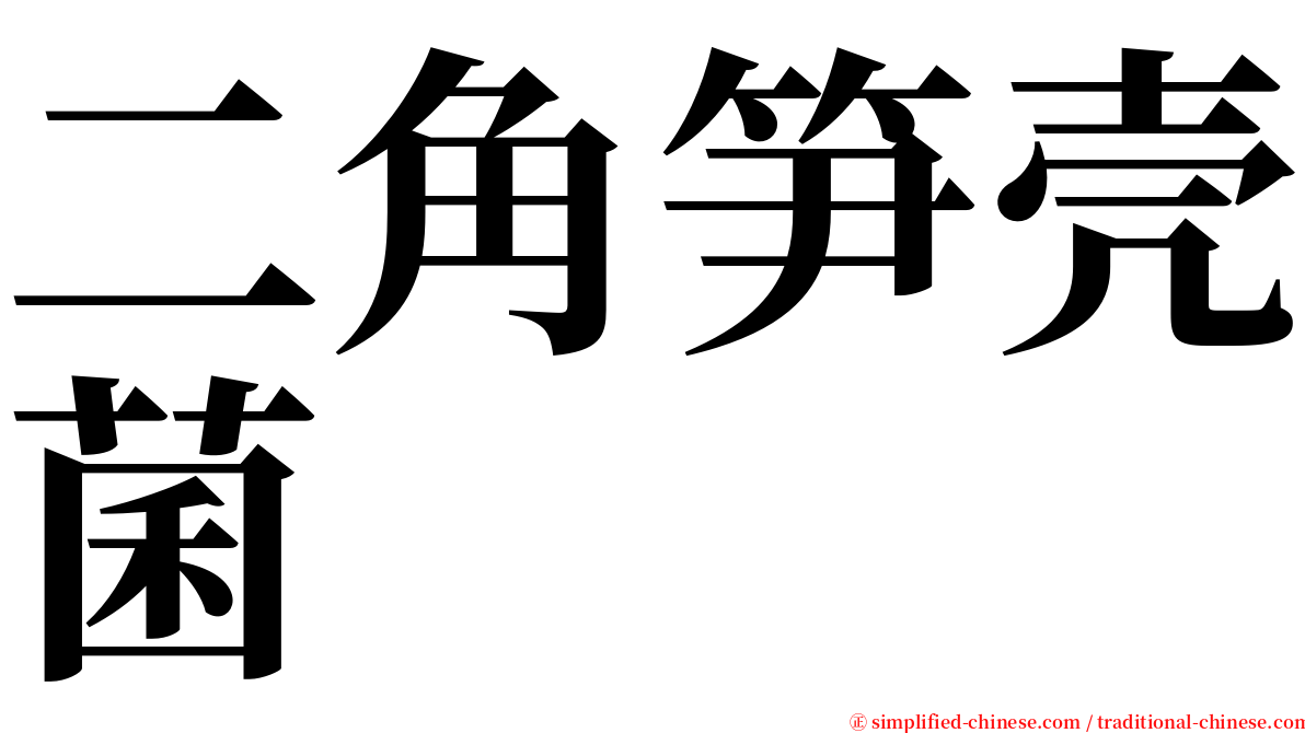 二角笋壳菌 serif font