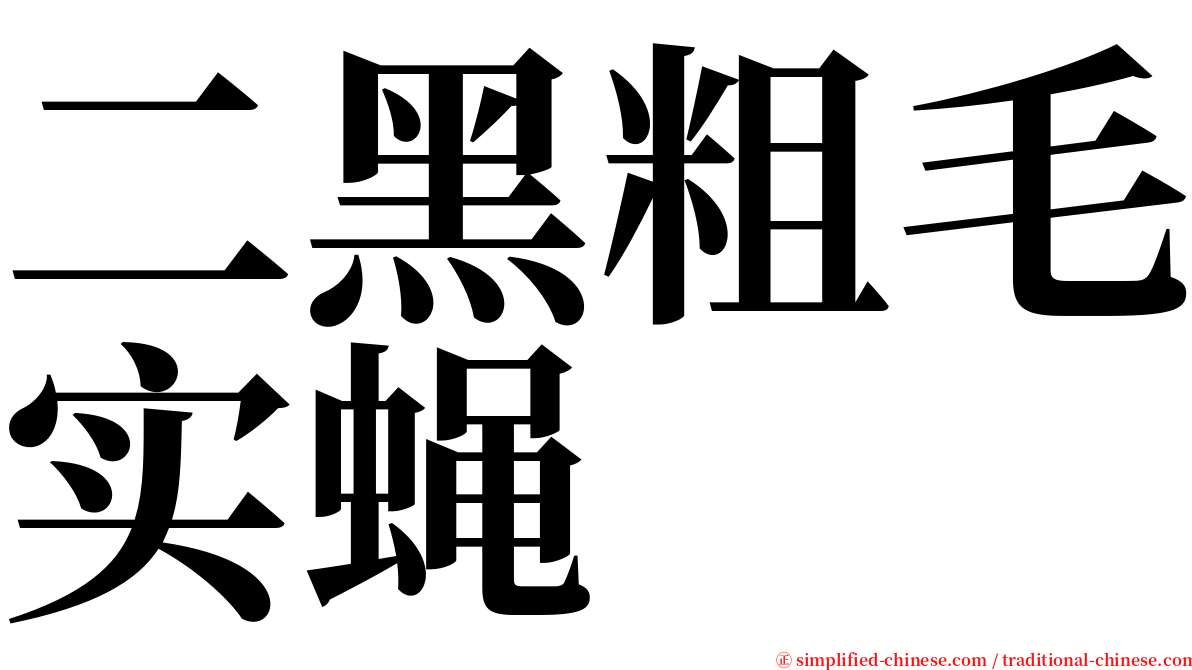 二黑粗毛实蝇 serif font