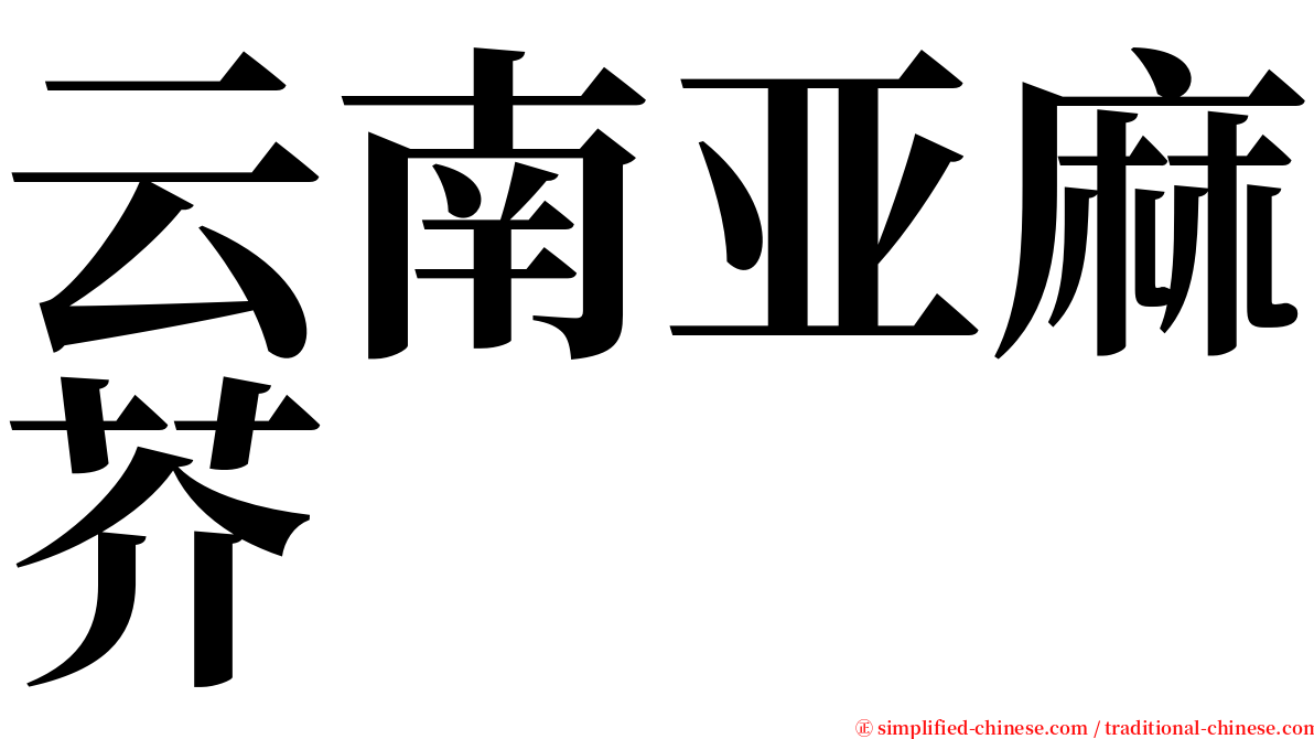 云南亚麻芥 serif font