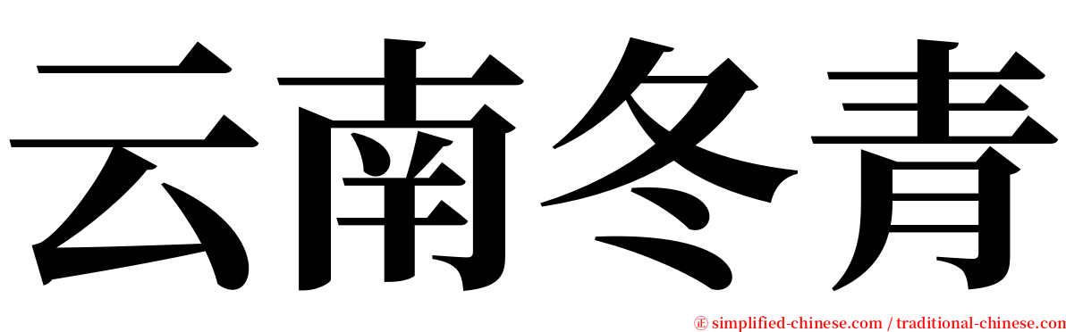 云南冬青 serif font