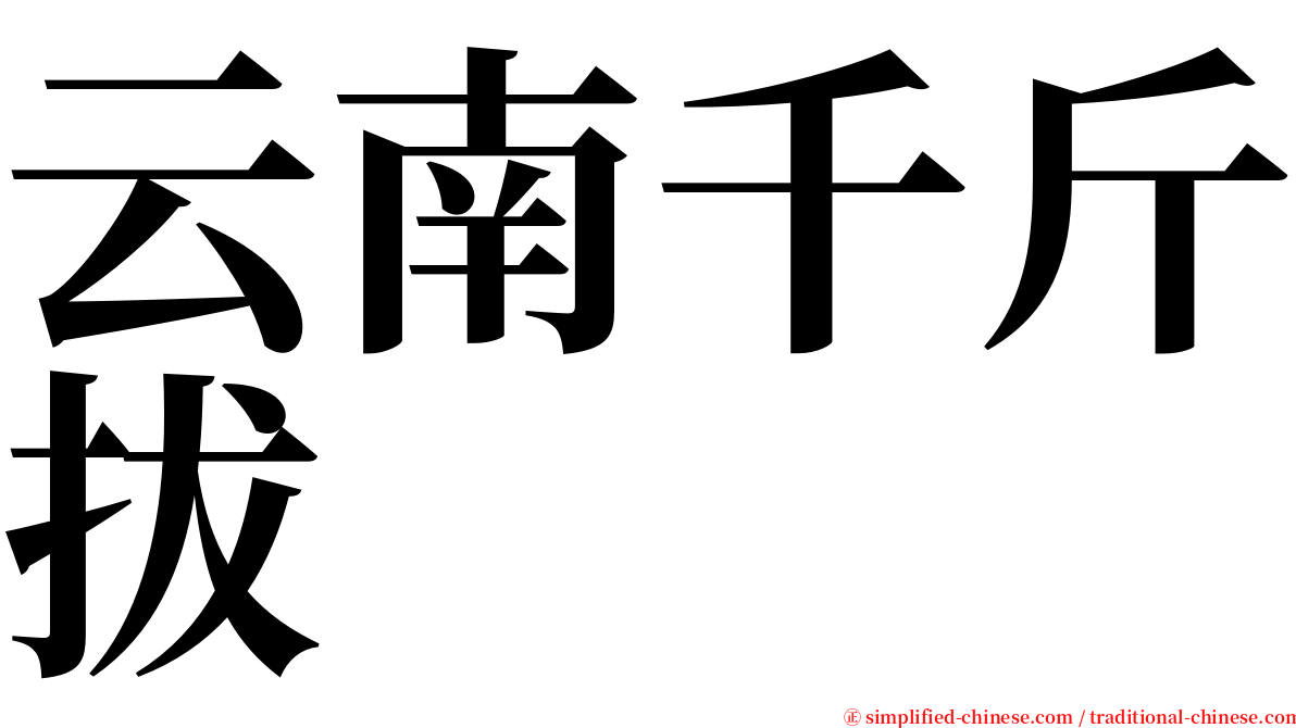 云南千斤拔 serif font