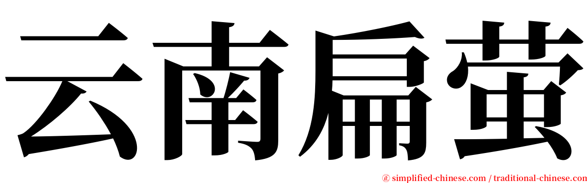 云南扁萤 serif font