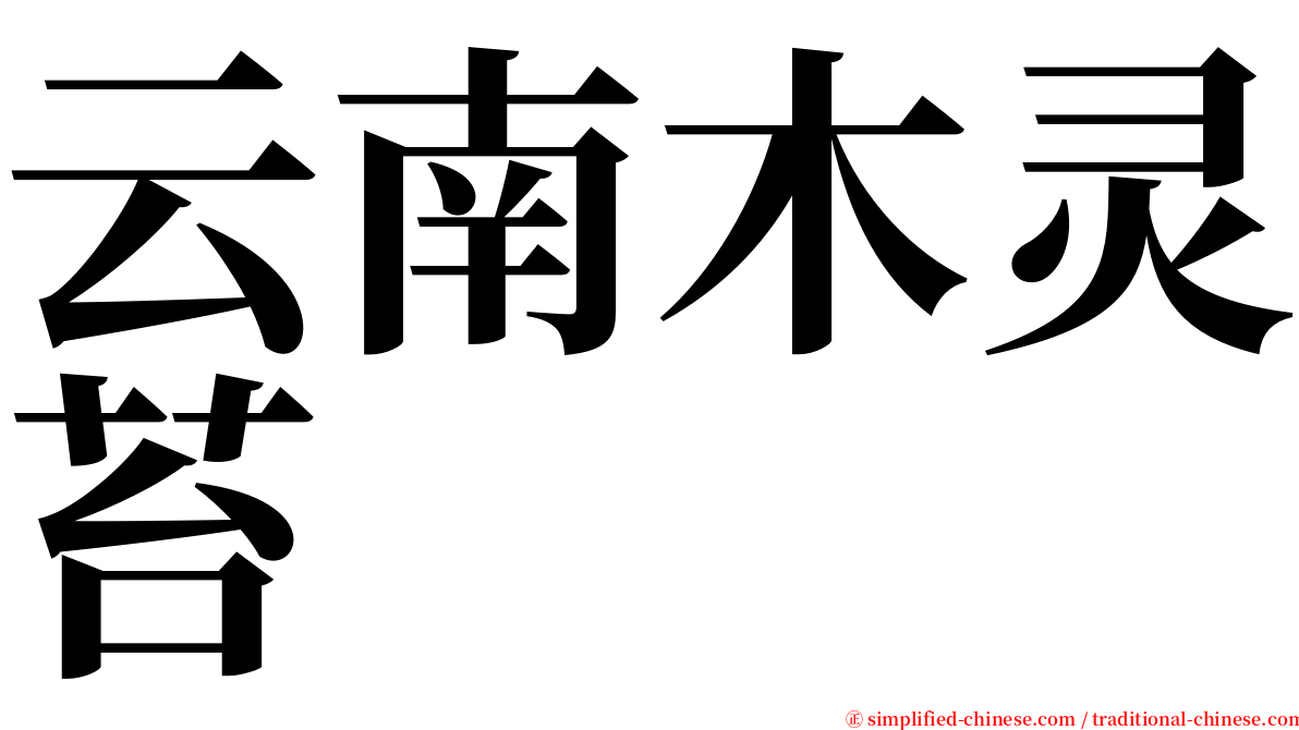 云南木灵苔 serif font
