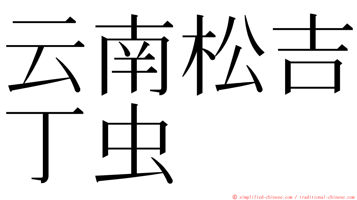 云南松吉丁虫 ming font