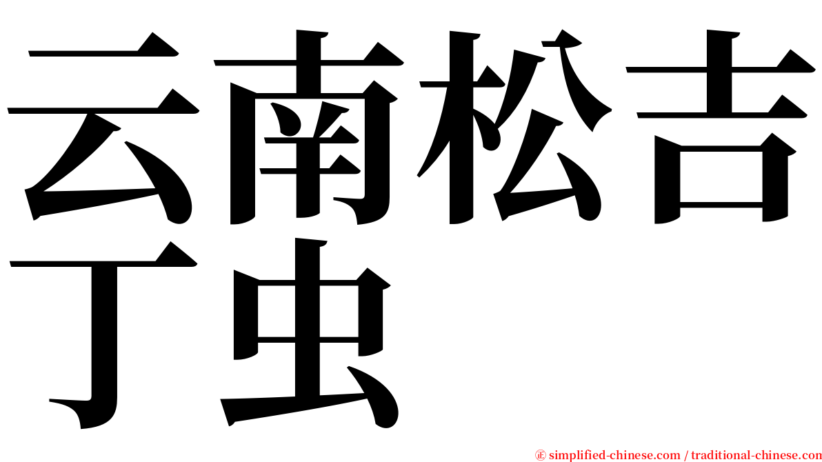 云南松吉丁虫 serif font