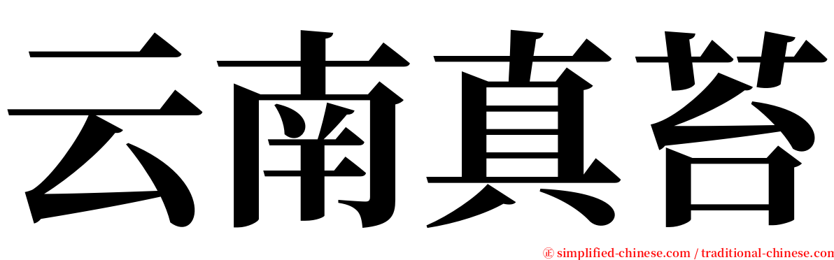 云南真苔 serif font