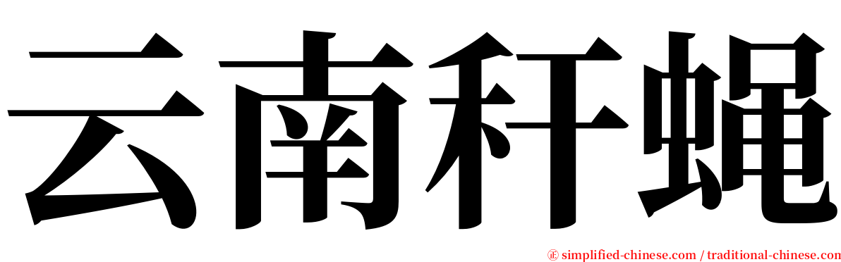 云南秆蝇 serif font