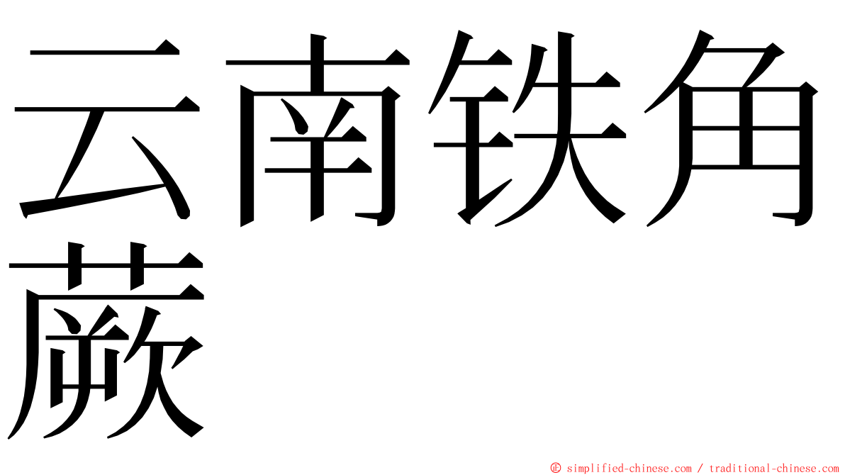 云南铁角蕨 ming font