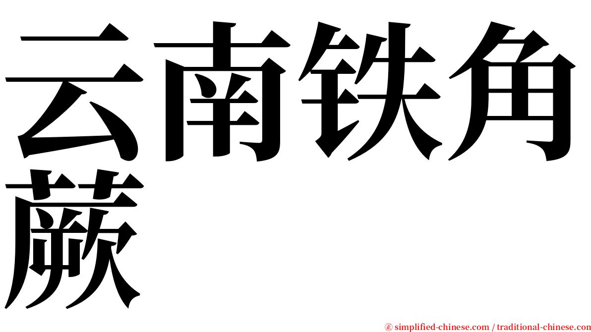 云南铁角蕨 serif font