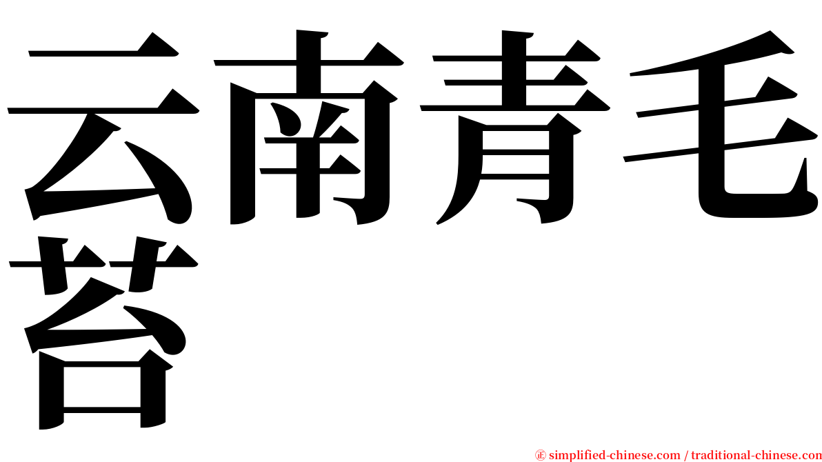 云南青毛苔 serif font
