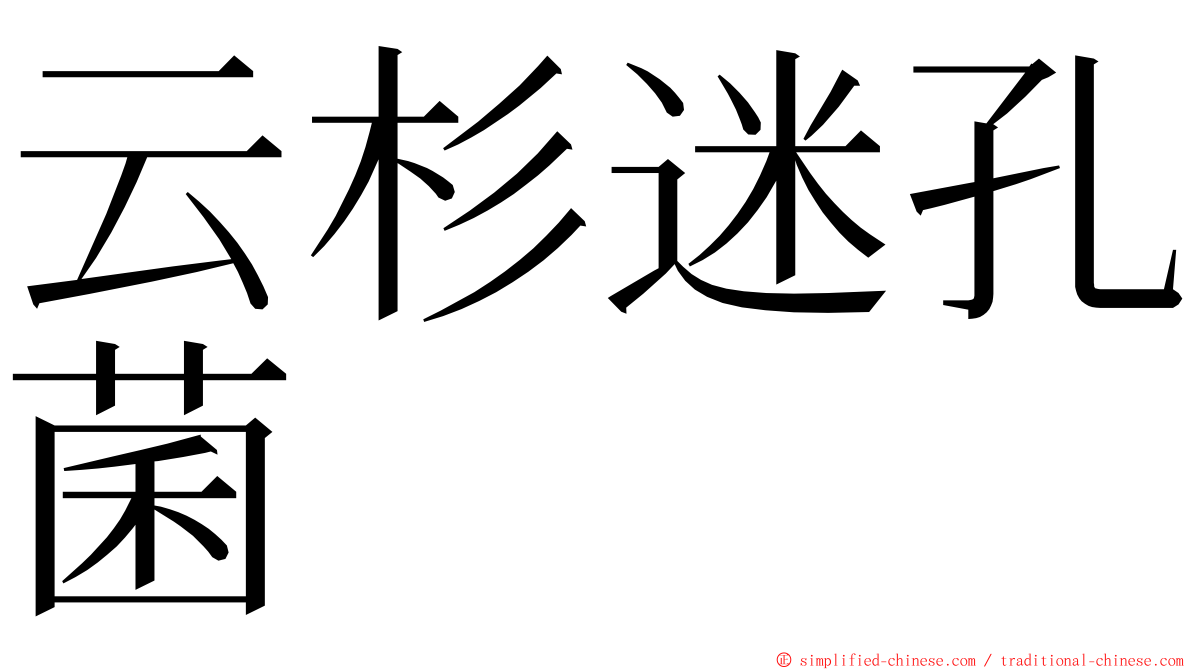 云杉迷孔菌 ming font