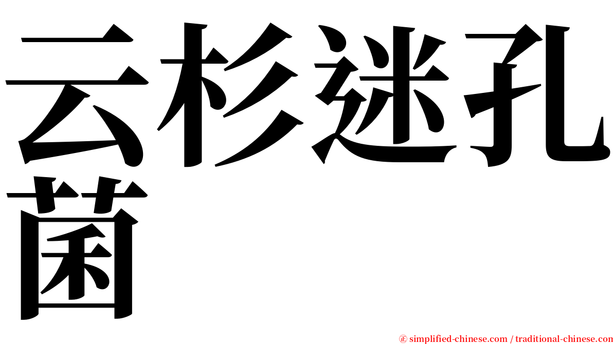 云杉迷孔菌 serif font