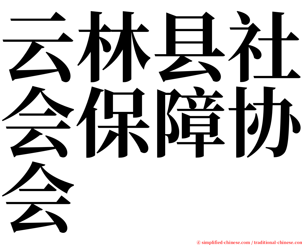 云林县社会保障协会 serif font