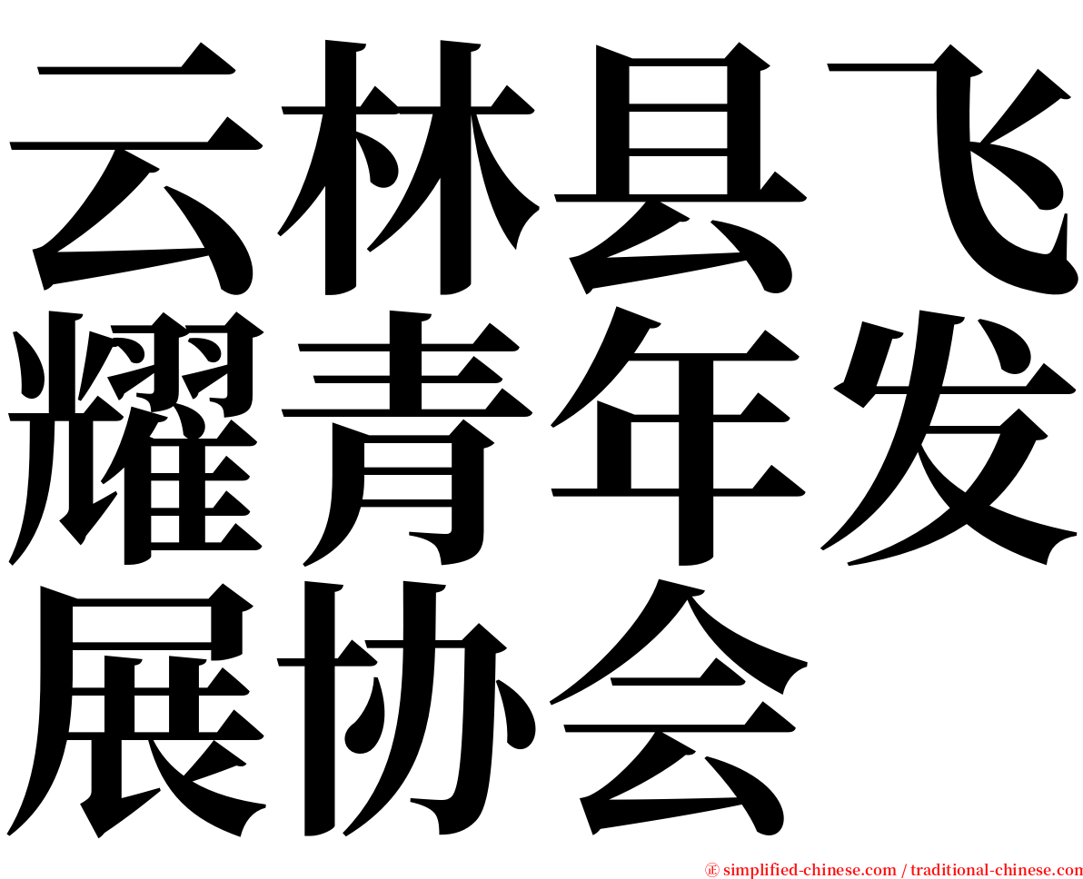 云林县飞耀青年发展协会 serif font