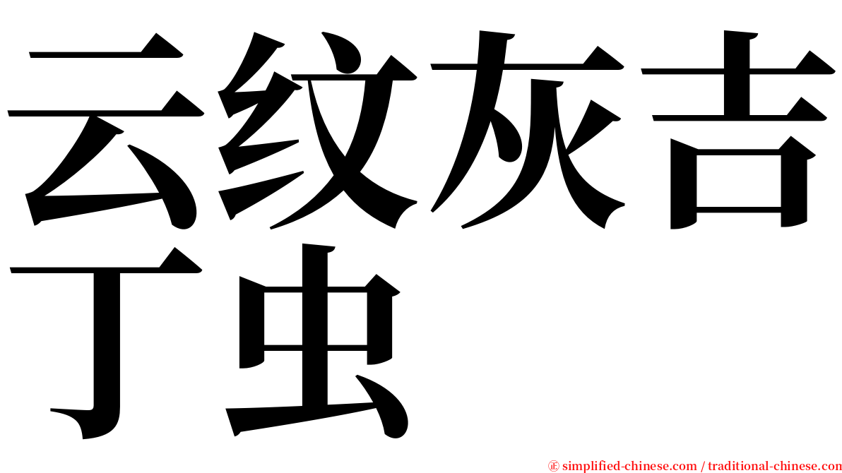 云纹灰吉丁虫 serif font