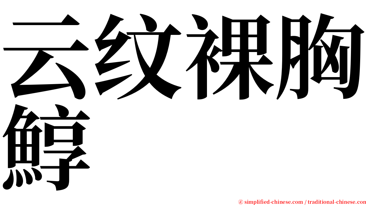 云纹裸胸鯙 serif font