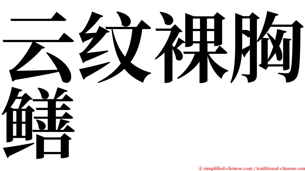 云纹裸胸鳝 serif font