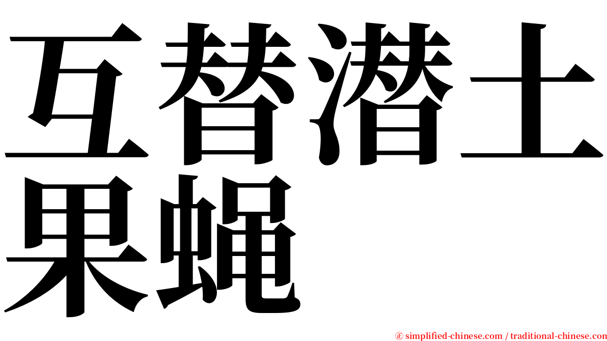 互替潜土果蝇 serif font