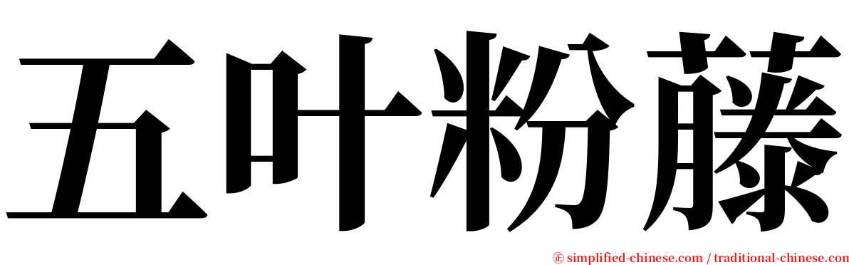 五叶粉藤 serif font