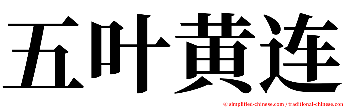 五叶黄连 serif font