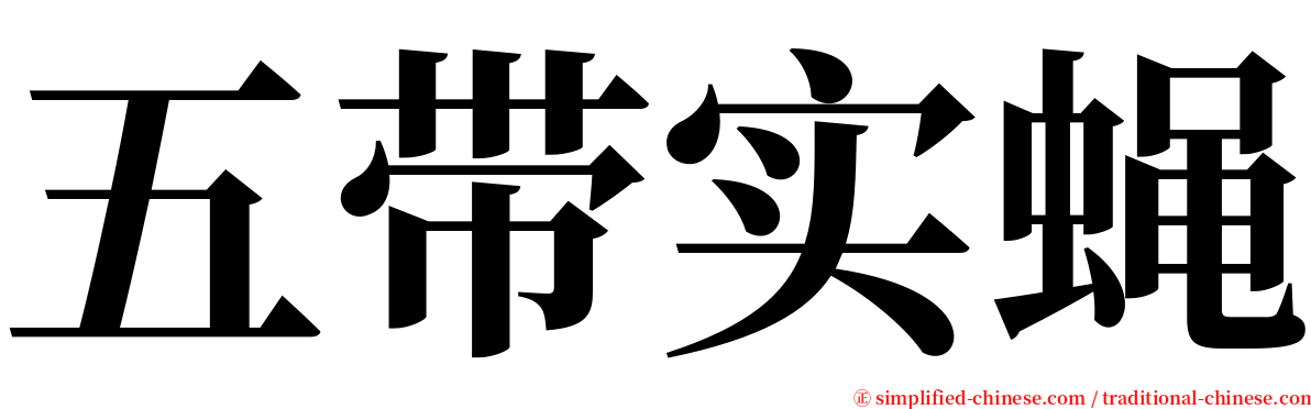 五带实蝇 serif font