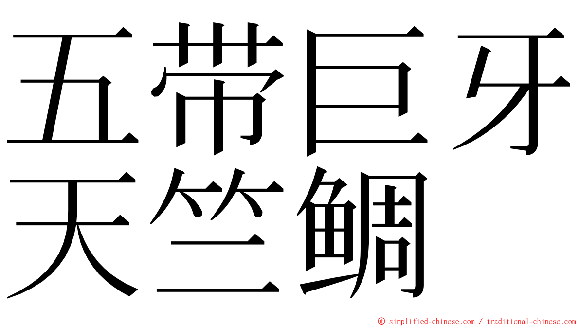 五带巨牙天竺鲷 ming font