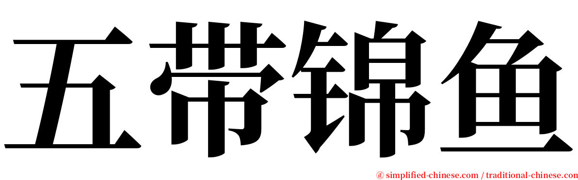 五带锦鱼 serif font