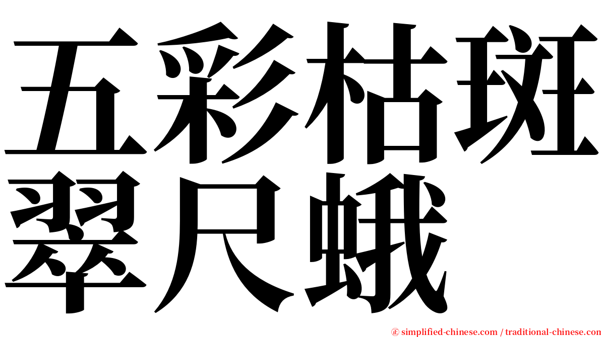 五彩枯斑翠尺蛾 serif font