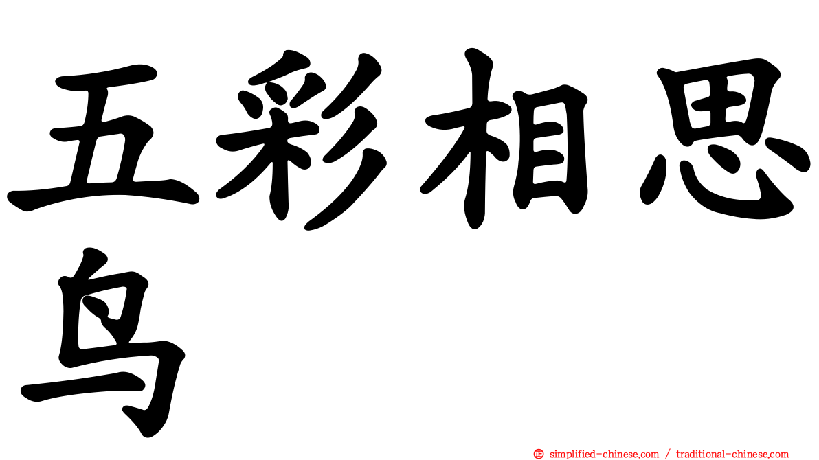 五彩相思鸟