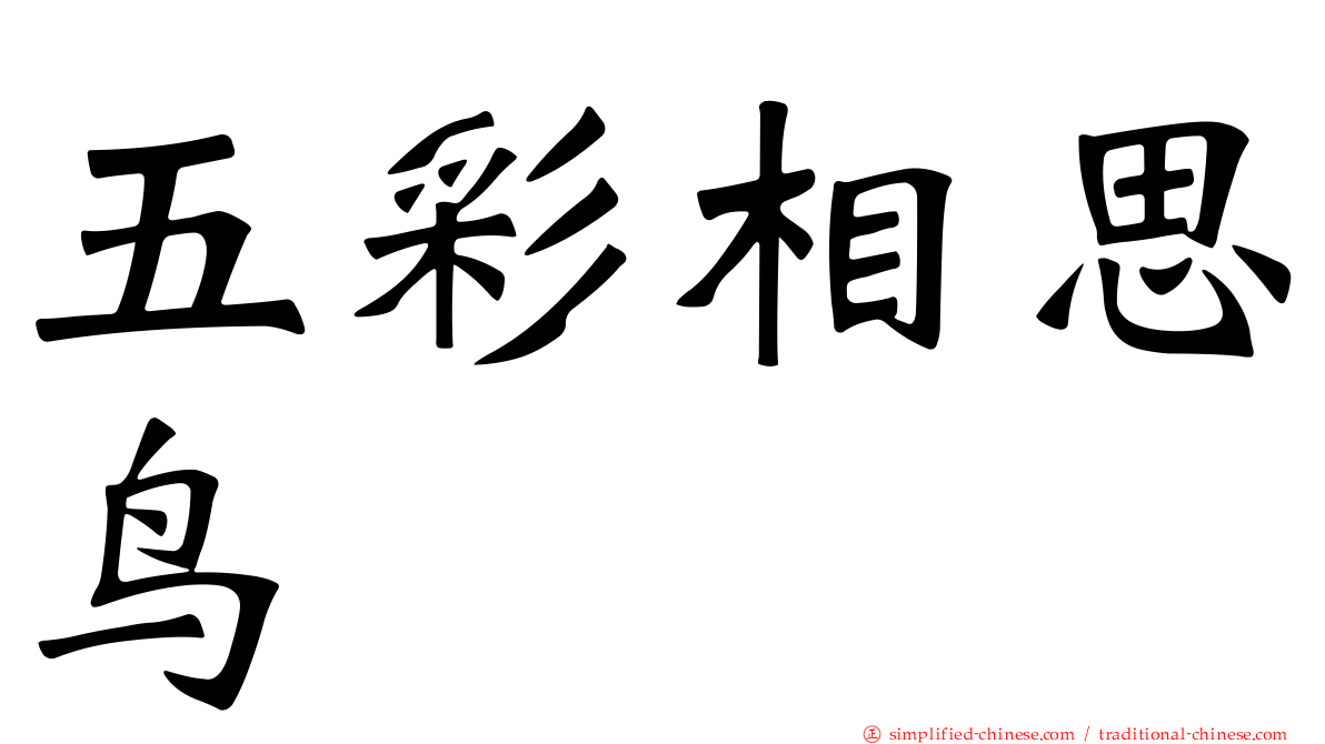 五彩相思鸟
