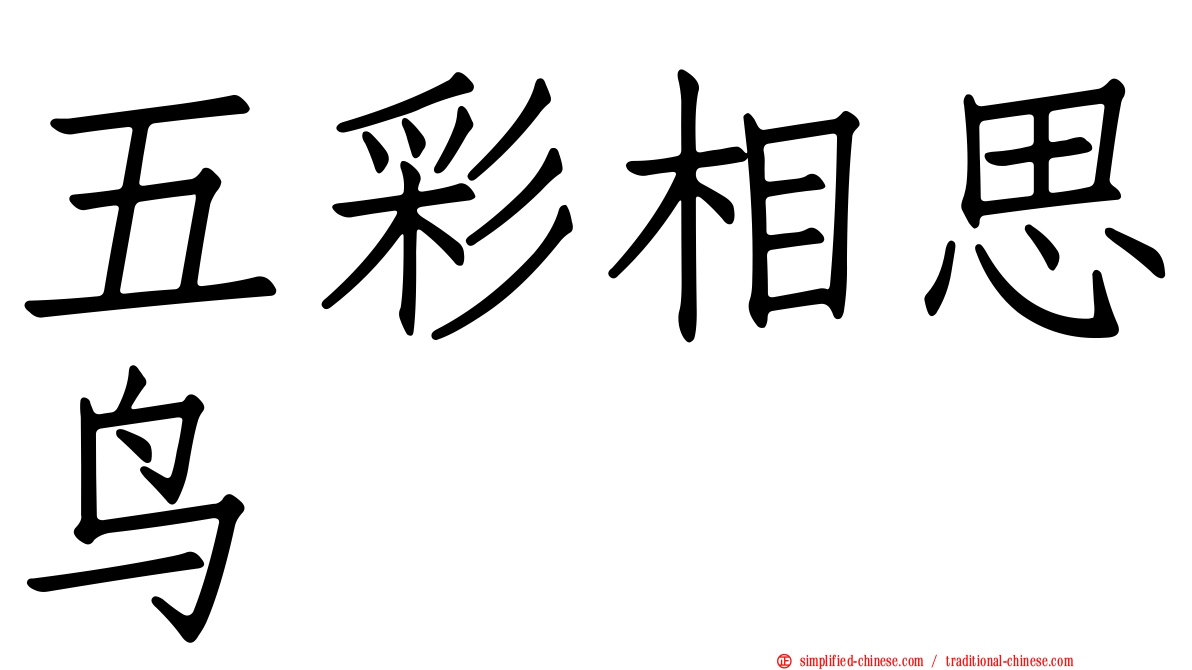 五彩相思鸟