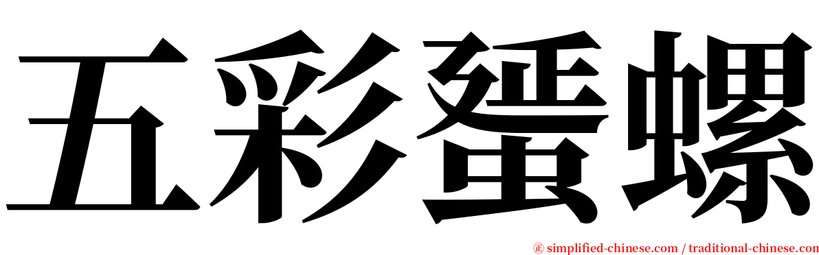 五彩蜑螺 serif font