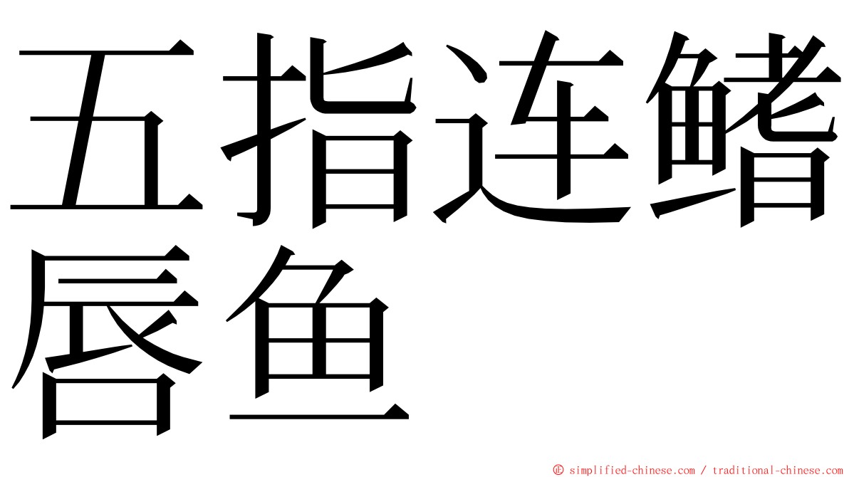 五指连鳍唇鱼 ming font