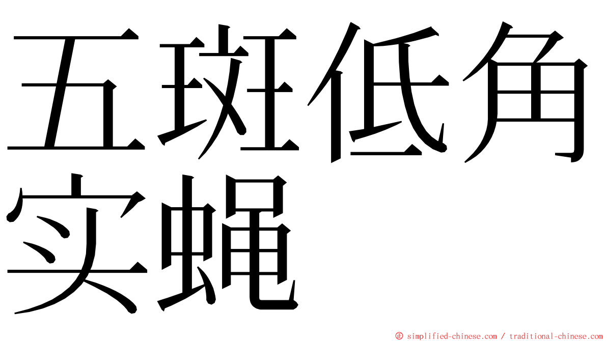 五斑低角实蝇 ming font