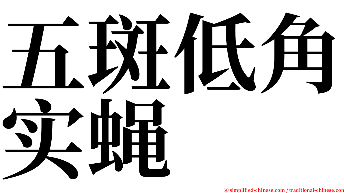 五斑低角实蝇 serif font