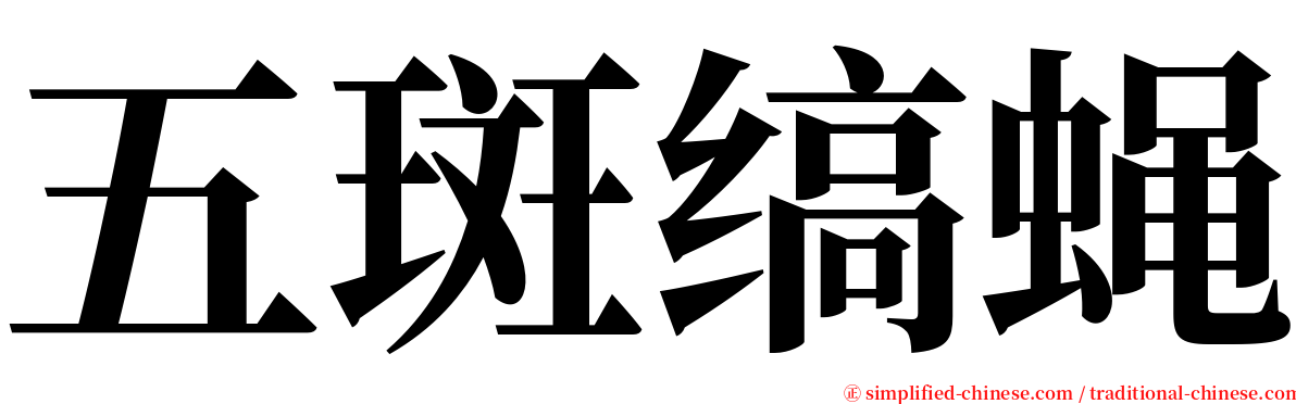 五斑缟蝇 serif font