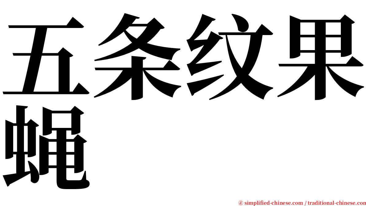 五条纹果蝇 serif font