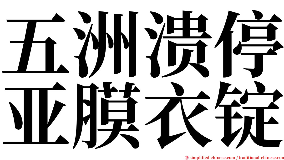 五洲溃停亚膜衣锭 serif font