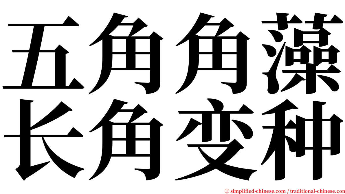 五角角藻长角变种 serif font