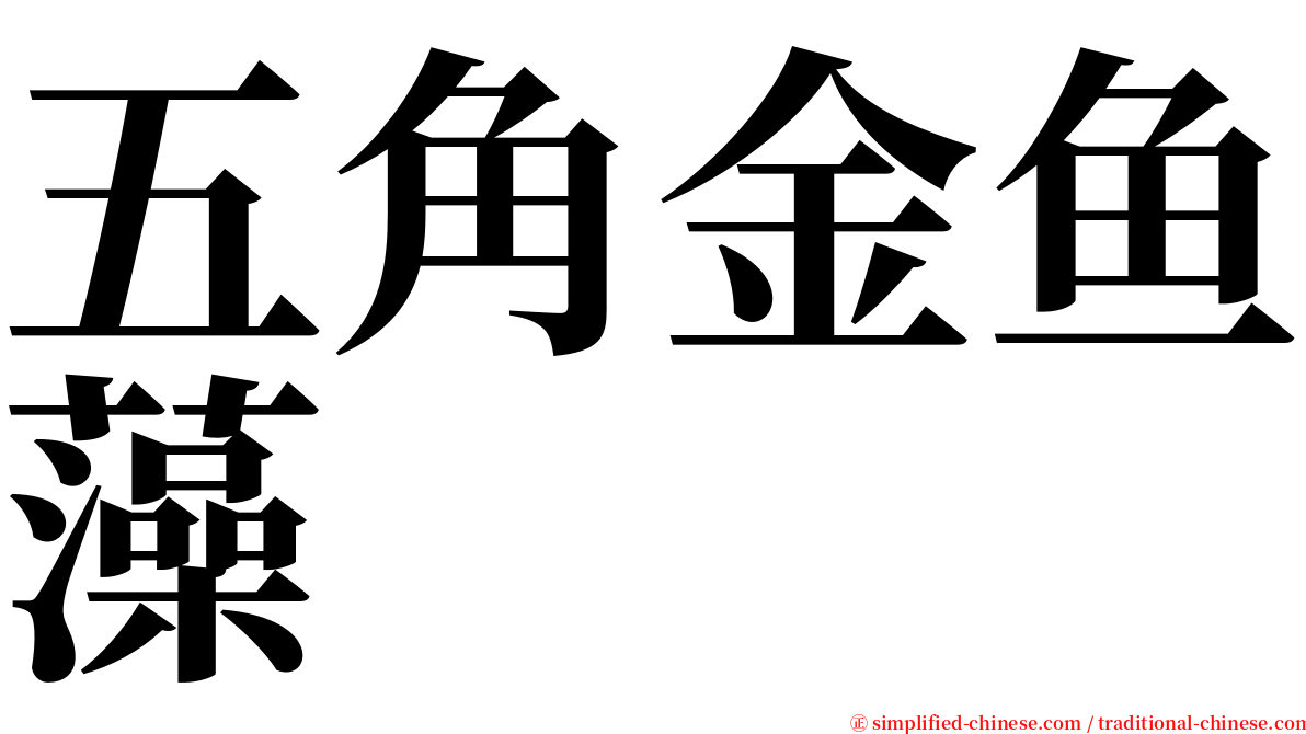 五角金鱼藻 serif font