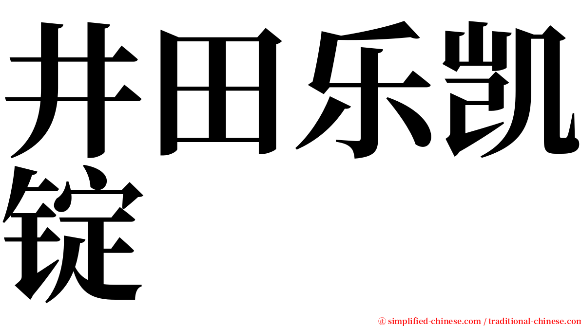 井田乐凯锭 serif font