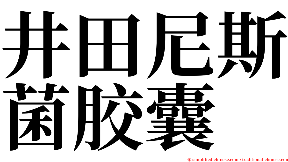 井田尼斯菌胶囊 serif font