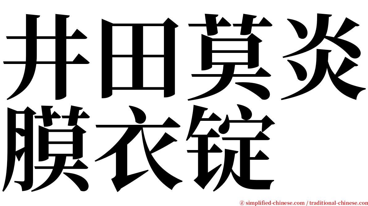 井田莫炎膜衣锭 serif font