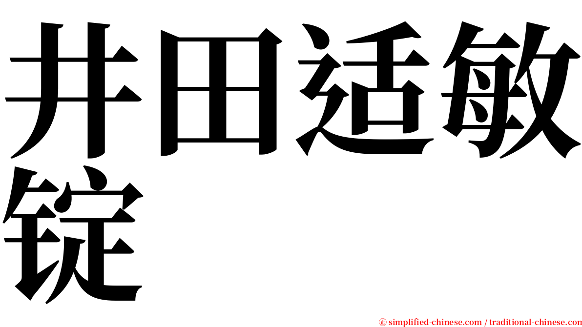 井田适敏锭 serif font