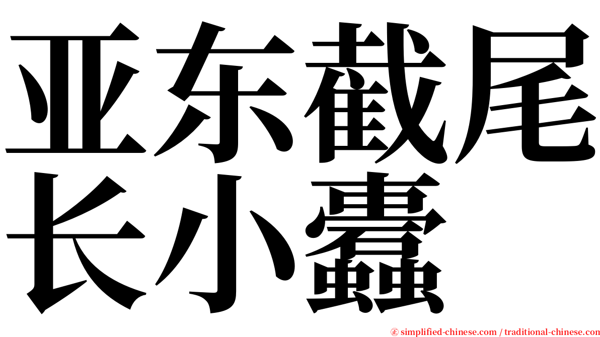 亚东截尾长小蠹 serif font