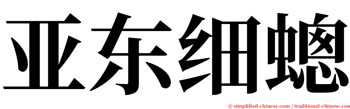 亚东细蟌 serif font