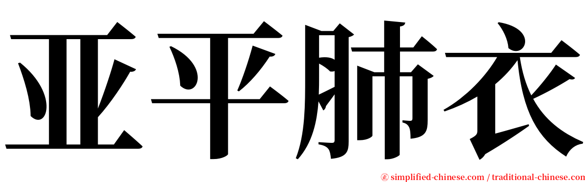 亚平肺衣 serif font