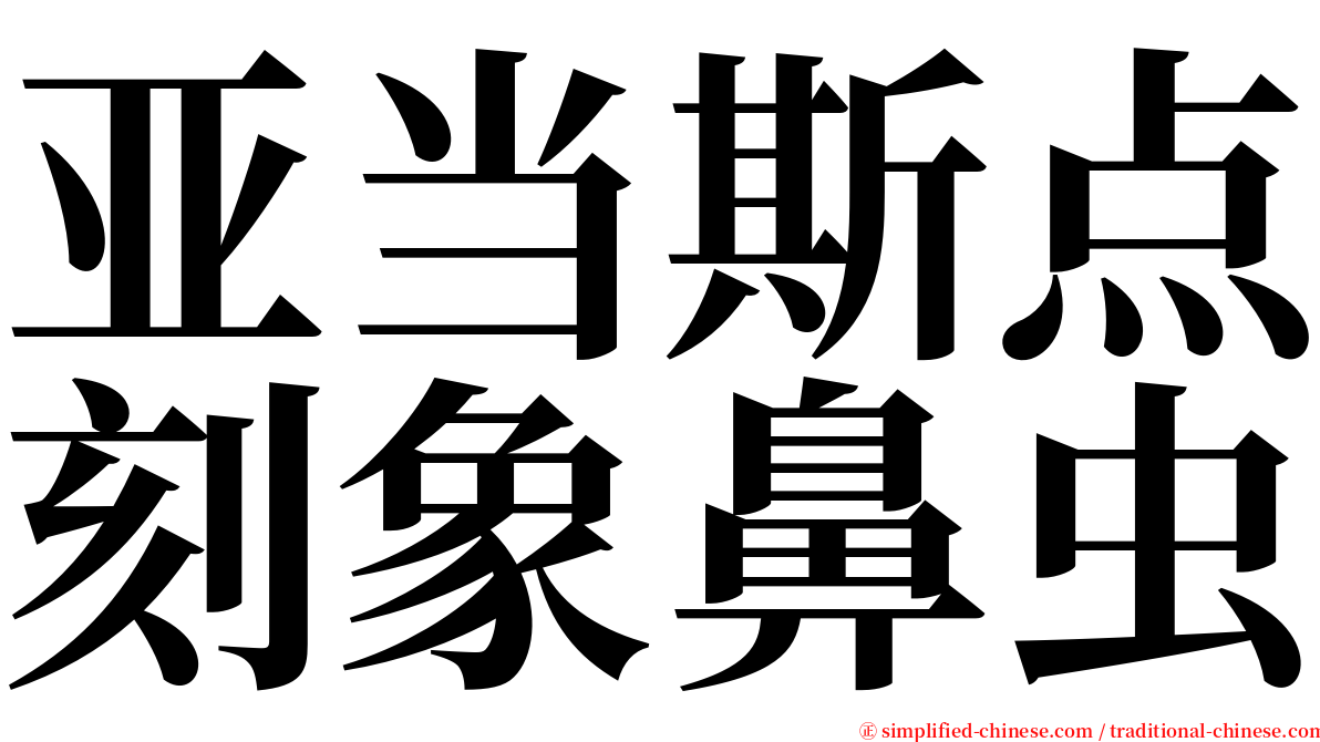 亚当斯点刻象鼻虫 serif font