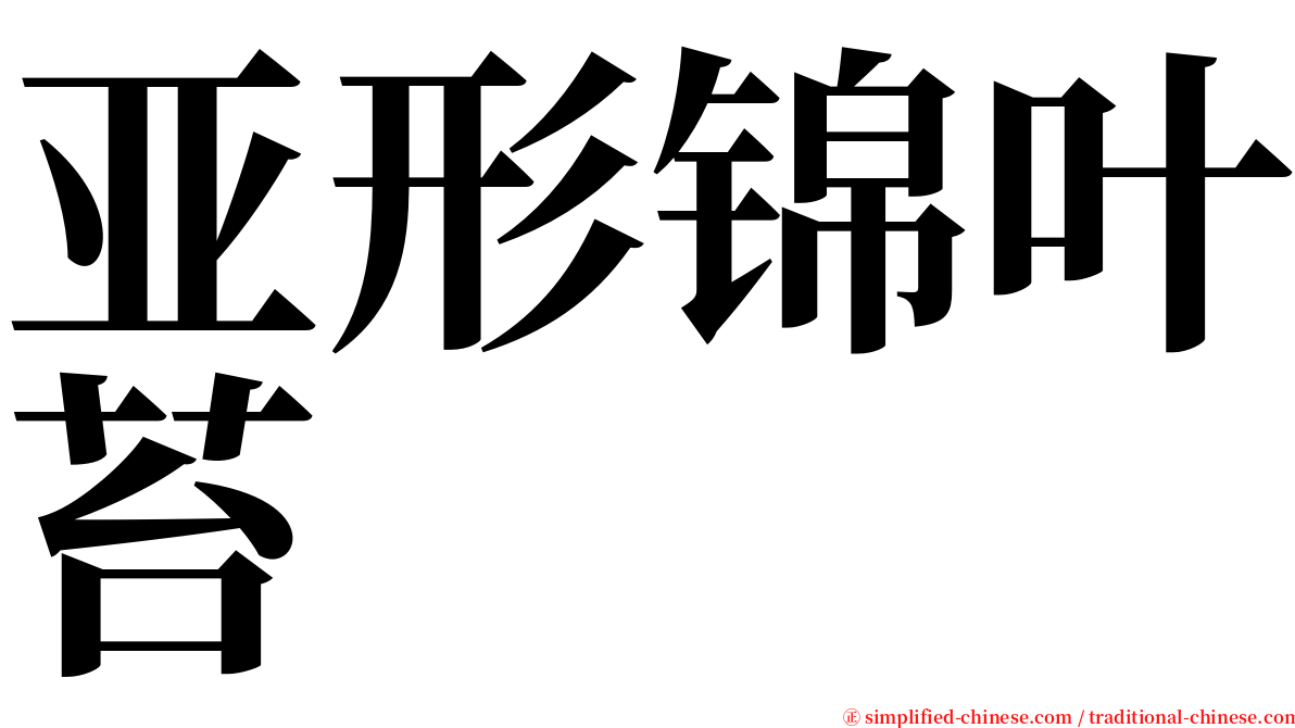 亚形锦叶苔 serif font